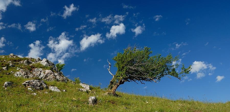 Bild zum Tag der Diakonin 201